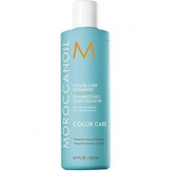Color Care Champú Protector Para Cabello Teñido 70 Ml