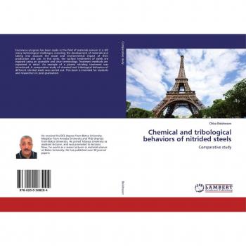 Chemical and tribological behaviors of nitrided steels