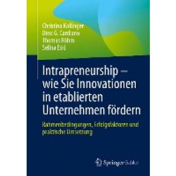 Intrapreneurship – wie Sie Innovationen in etablierten Unternehmen fördern: Rahmenbedingungen, Erfolgsfaktoren und praktische Umsetzung
