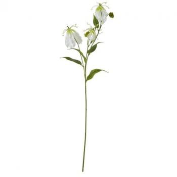 Tropical Cream Blossom Bouquet