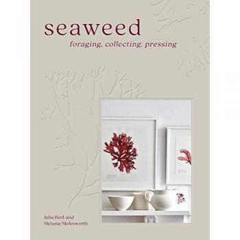 Seaweed : Foraging, Collecting, Pressing Hardback