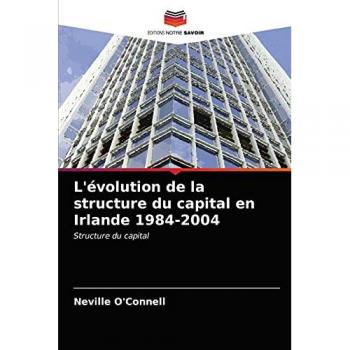 L'évolution de la structure du capital en Irlande 1984-2004: Structure du capital