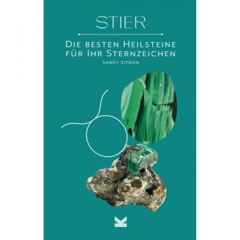 Stier
