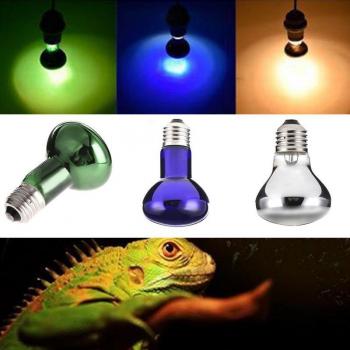 100W UV Reptile Lamp Bulb