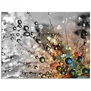 Artland Outdoorbild Farbenfrohe Natur