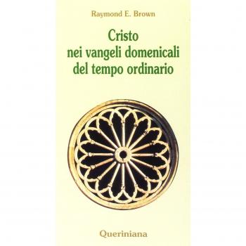 Cristo nei vangeli domenicali del tempo ordinario. Note e commenti ai brani evangelici delle domeniche del tempo ordinario nel ciclo liturgico triennale
