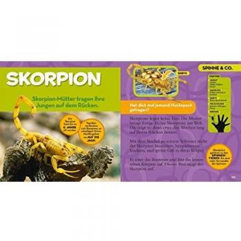 National Geographic Kids Mein Großes Buch Der Insekten