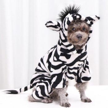 Oso Negro Blanco Halloween