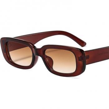 Female Vintage Small Rectangle Sunglasses with Clear Lens Transparent Frame