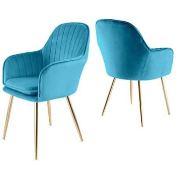Lot de 2 Chaises Muse