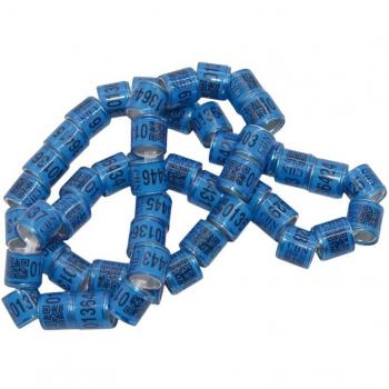Pigeon Harness and Identification Rings