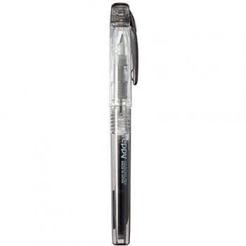 Platinum Fine Point Fountain Pen