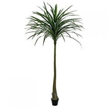 EUROPALMS Künstliche Dracena Zimmerpalme in Grün, Höhe 220cm
