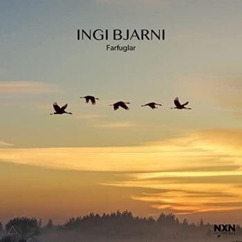 Ingi Bjarni Skulason