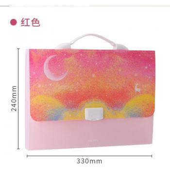 3Pcs Deli A4 Organizer with 13 Expanding Pockets
