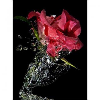Rose Royale 5D : Peinture, Broderie & Croix (20×30 cm)