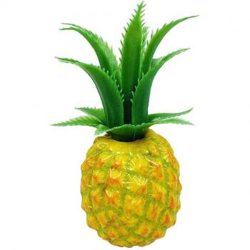 Accessoire Photo Mousse Fruit