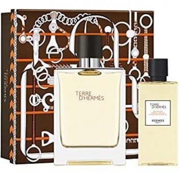 Hermès Terre d'Hermès Fragrance Gift Set 100ml EDT + 80ml Shower Gel