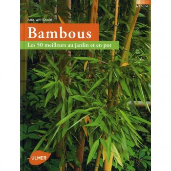 Bambous : Les 50 meilleurs au jardin et en pot