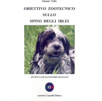 Obiettivo zootecnico sullo spino degli Iblei. Antico cane da pastore siciliano