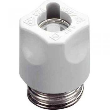 Neozed D02 Screw Cap 31006 (20 Units)