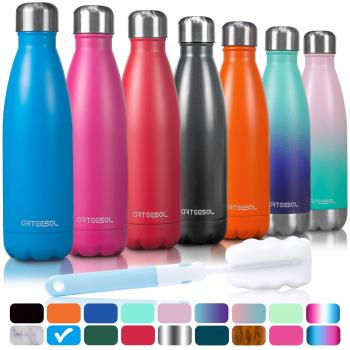 Arteesol Outdoor Sports Stainless Steel Water Bottle, 500ml