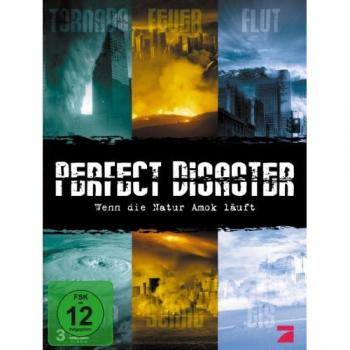 Perfect Disaster