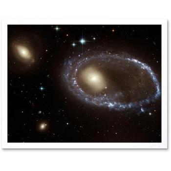 AM 0644-741 StarForge