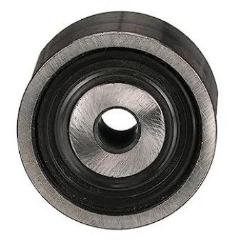 Gates T42325 Timing Belt Guide Pulley