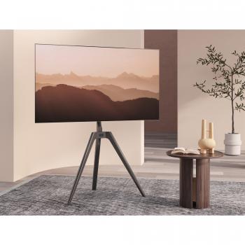 TTAP Tripod TV Stand with Bracket