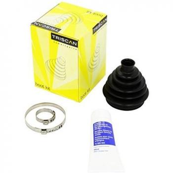 Juego de fuelles TRISCAN 8540 15816