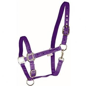Waldhausen Little Horse Halter – Classic Navy