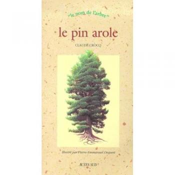 Le pin arole
