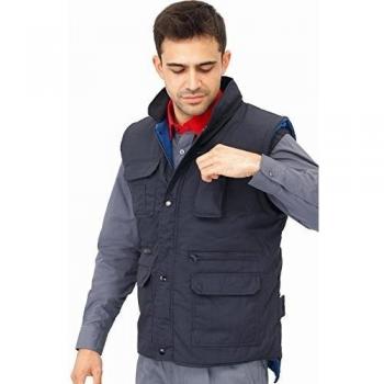 Vesin