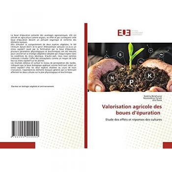 Valorisation agricole des boues d’épuration: Etude des effets et réponses des cultures