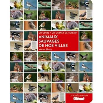 Animaux sauvages de nos villes