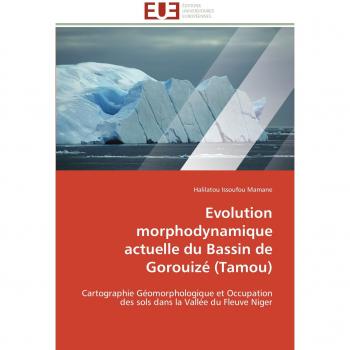 Evolution morphodynamique actuelle du Bassin de Gorouizé