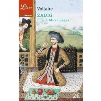Zadig ou La destinée : Suivi de Micromégas