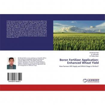 Boron Fertilizer Application: Enhanced Wheat Yield