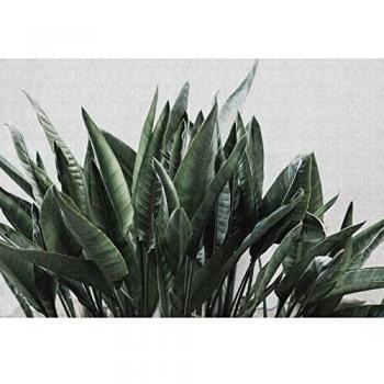 Décor salon urbain avec jungle
