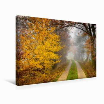 CALVENDO 45 × 30 cm Textil‑Leinwand „Herbstlicher Marschbahndamm“ (Hamburg)
