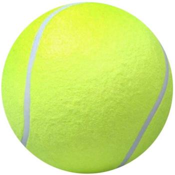 Cricket Practice Balls