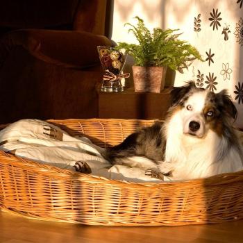 Aumüller Hundekorb Hellbraun 90 cm – Natürliche Weidequalität