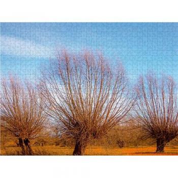 Moods des Rhein‑Gebiets – 1000‑Teile Foto‑Puzzle (Calvendo, Micaela ABEL)