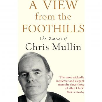 A View from the Foothills : The Diaries of Chris Mullin