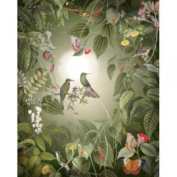 Komar Vliestapete »Wildlife Birds« 200x250 cm