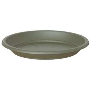 Coquetterie végétale : soucoupe ronde verte 16 cm