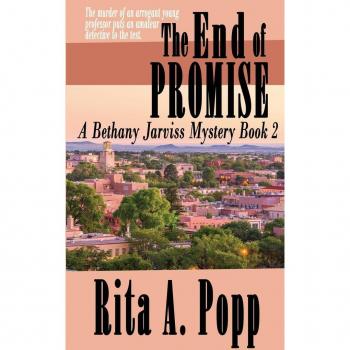 The End of Promise (A Bethany Jarviss Mystery, Band 2)