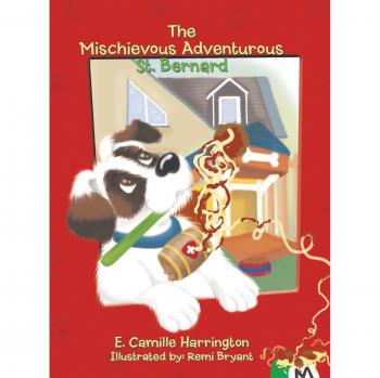 The Mischievous Adventurous St. Bernard