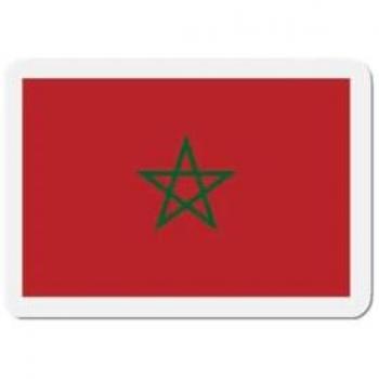 9 cm Moroccan Flag Magnet Set